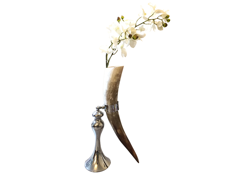 Horn Vase